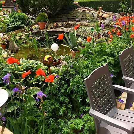 Muehlenheim Maison d'hôtes