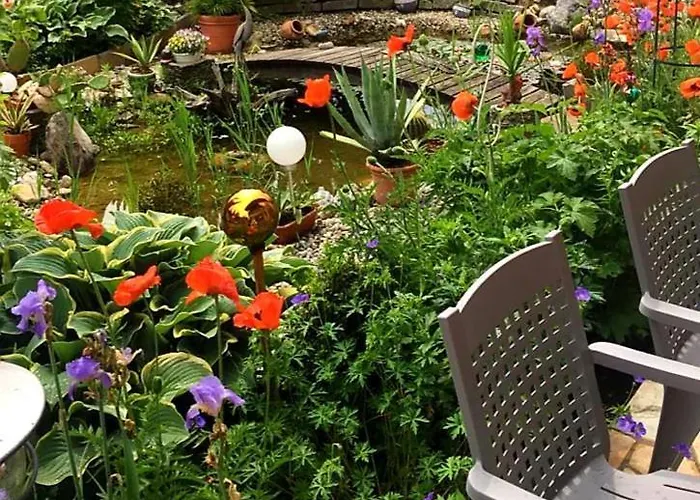 Muehlenheim Gæstehus